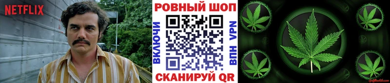 Цена Западная Двина Псилоцибиновые грибы  АМФ  Меф  APVP  Гашиш 