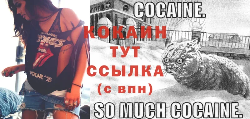 где купить   MEGA ТОР  Cocaine Fish Scale  Западная Двина 