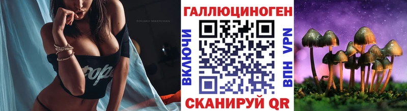 Псилоцибиновые грибы Psilocybine cubensis  KRAKEN зеркало  Западная Двина  купить закладку 
