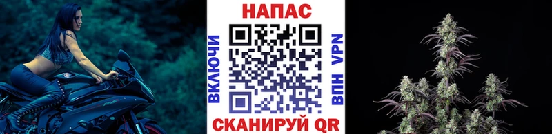 купить наркотик  MEGA ТОР  Каннабис гибрид  Западная Двина 